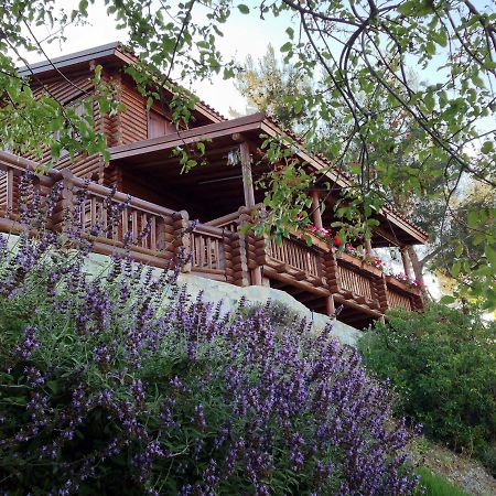 Anti Onirou Villa Flasou Dış mekan fotoğraf