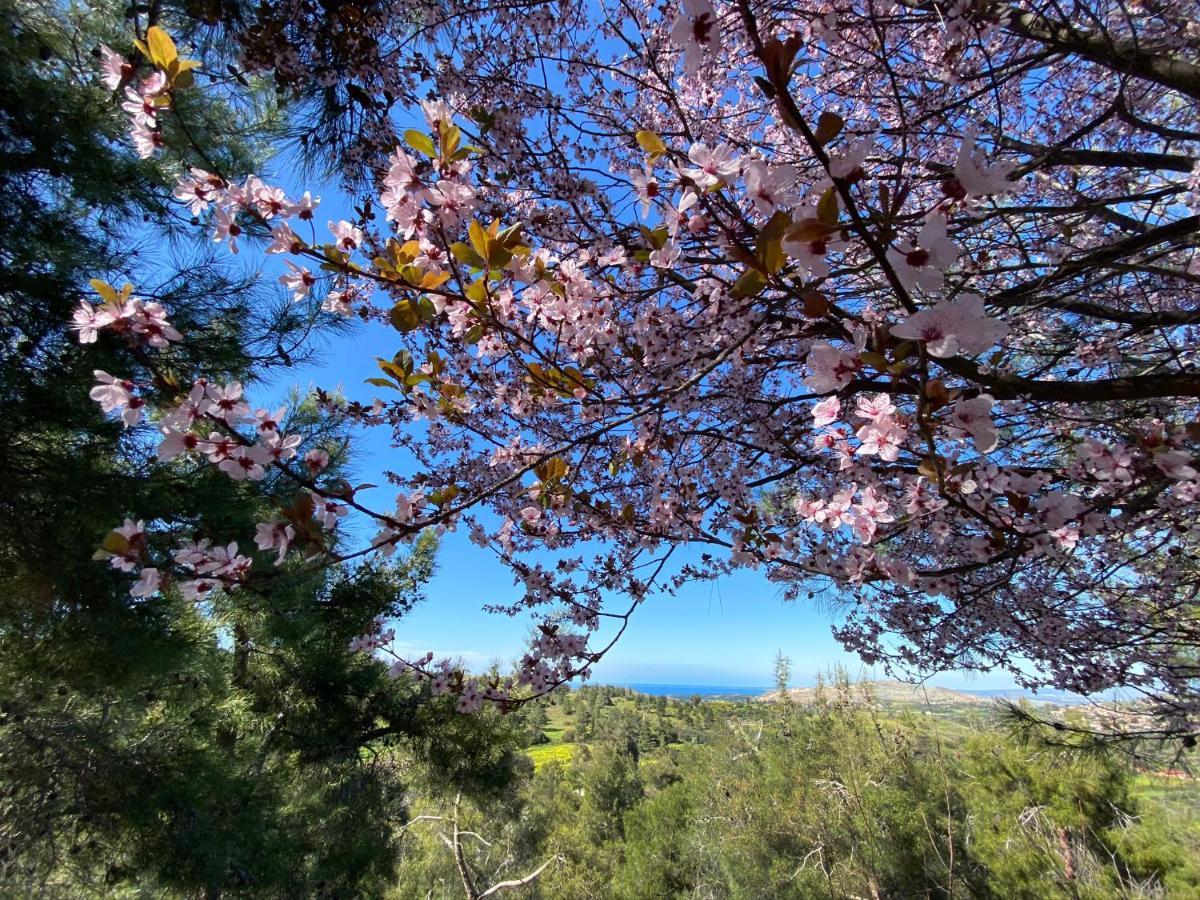 Anti Onirou Villa Flasou Dış mekan fotoğraf