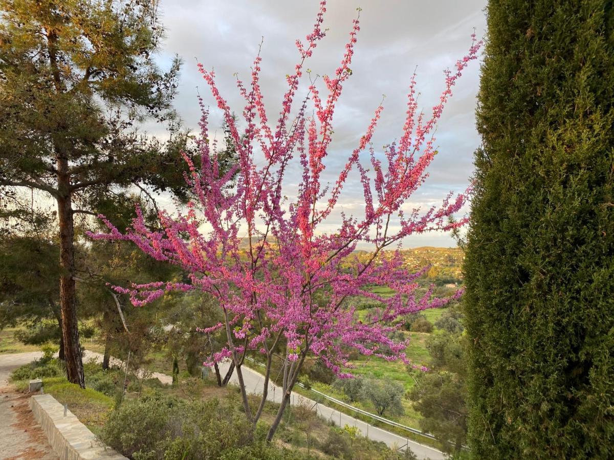 Anti Onirou Villa Flasou Dış mekan fotoğraf