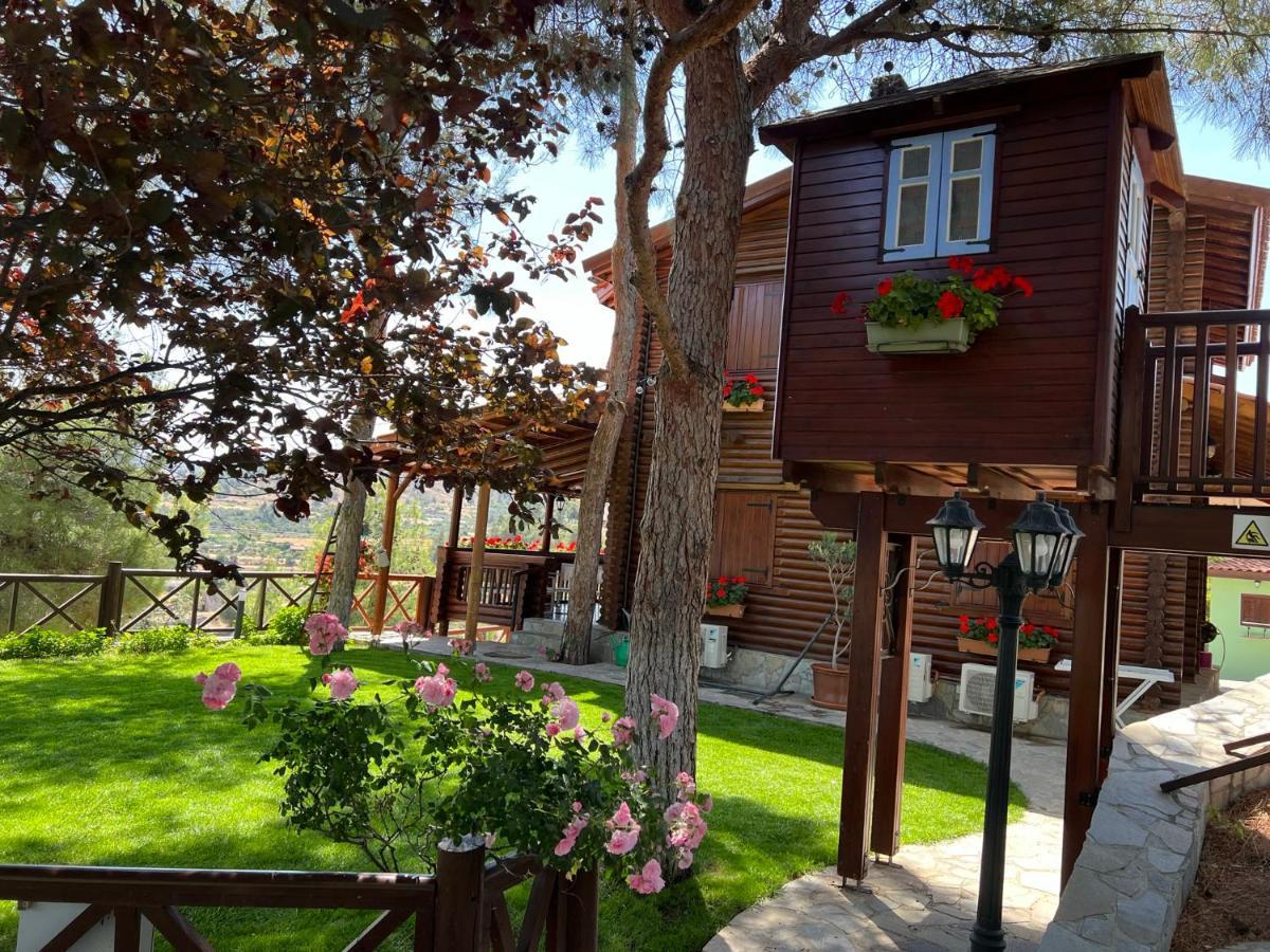 Anti Onirou Villa Flasou Dış mekan fotoğraf