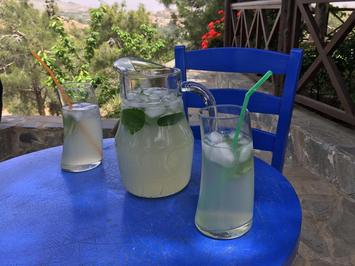 Anti Onirou Villa Flasou Dış mekan fotoğraf
