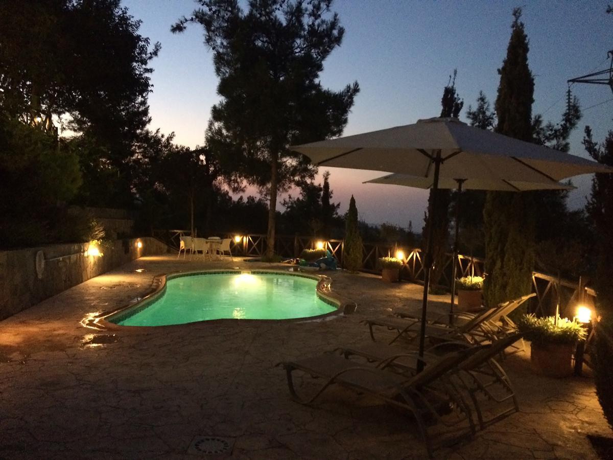 Anti Onirou Villa Flasou Dış mekan fotoğraf