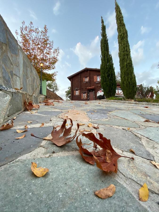 Anti Onirou Villa Flasou Dış mekan fotoğraf