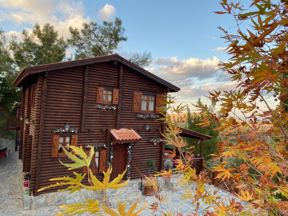 Anti Onirou Villa Flasou Dış mekan fotoğraf