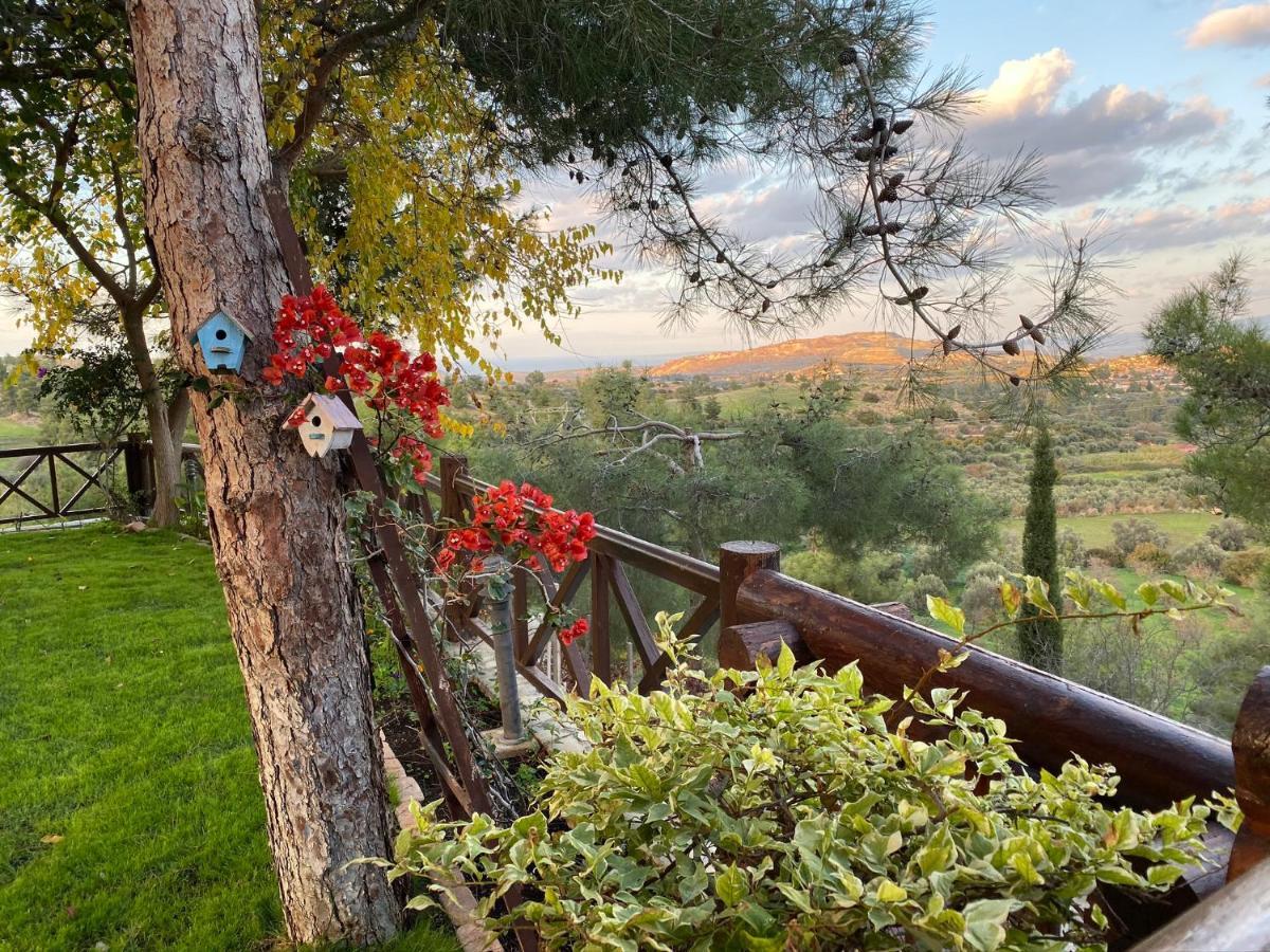 Anti Onirou Villa Flasou Dış mekan fotoğraf